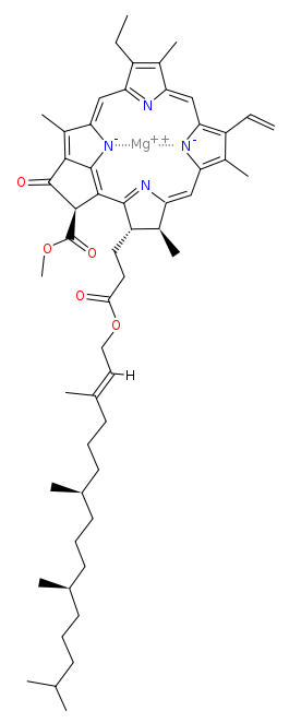 clorofila_a