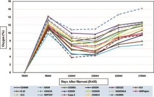 Gráfico: Cantidad de oxígeno en diferentes portainjertos