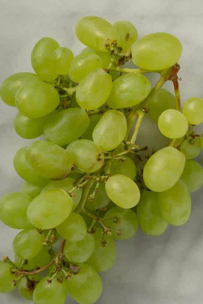 uvas verdes frescas