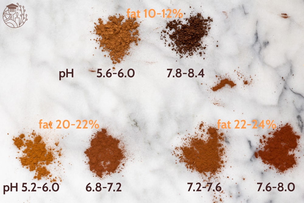 seis polvos de cacao procesados ​​de manera diferente